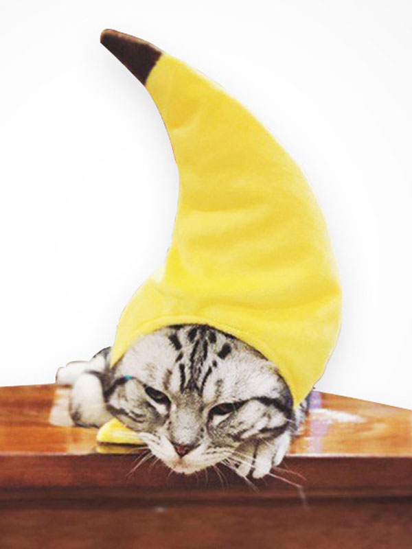 Pet Cat Halloween Costume Banana Cartoon Yellow Headwear Polyester Pet Supply Costumeslive Com