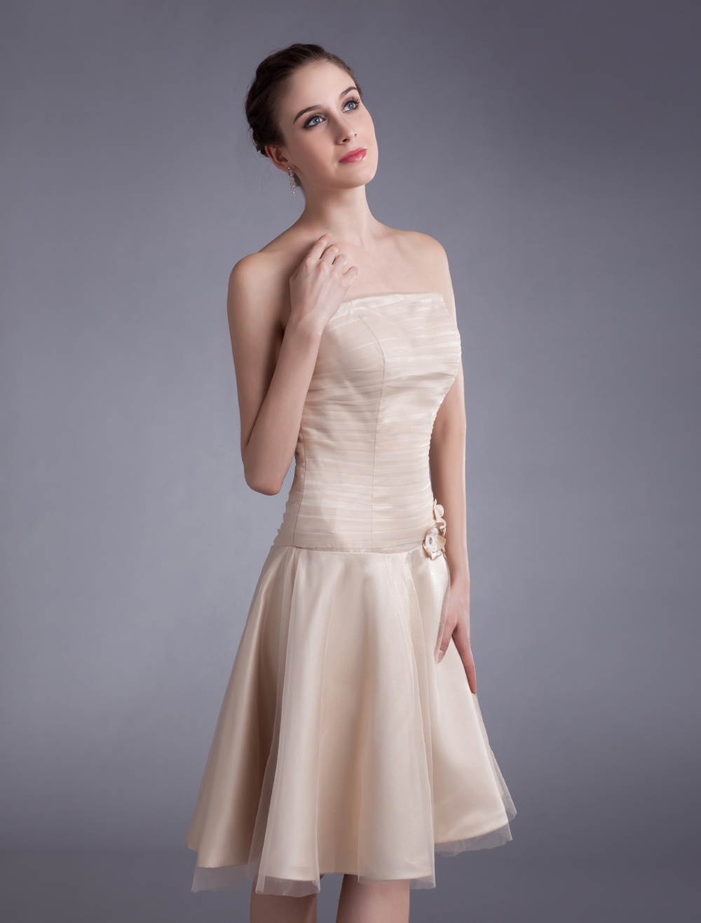 Champagne Cocktail Dress Strapless KneeLength Applique Flowers Tulle