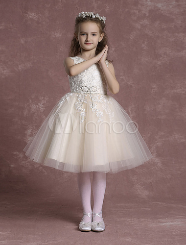 Champagne Flower Girl Dresses Tulle Lace Pageant Dresses Toddler's ...