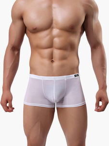 Mutandine sexy nylon semi-velato maschile 