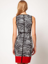 brown zebra print dress