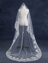 Cathedral Wedding Veils Lace Applique Edge Sequins Decor One-Tiered Waterfall Bridal Veils(280*145cm)