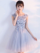 Tulle Homecoming Dress 2024 Lace Applique Light Grey Short Dress For Prom