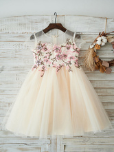 Flower Girl Dresses Embroidered Short Sleeves Jewel Neck Champagne Kids Party Dresses