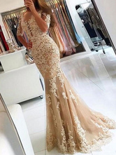Evening Dress 2024 Mermaid Illusion Neckline Lace Applique Formal Dresses Free Customization