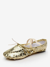 Zapatos de Ballet 2024 oro zapatos de baile mujer Slip-on ovalada cruzado