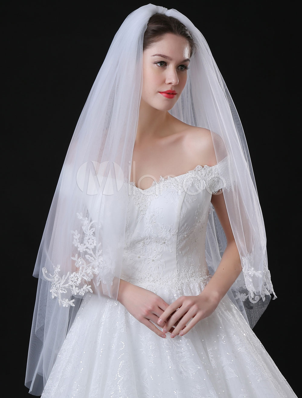 Tulle Wedding Veil Ivory Lace Applique Edge Two Tier Bridal Veil 0058