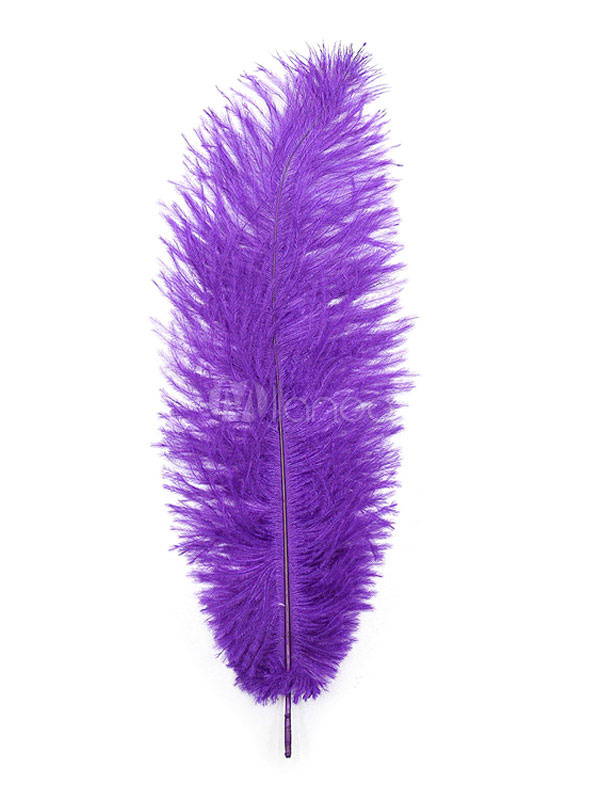 Fetish Feathers Teasing Toy Seductive Feather Duster Tickler Teaser.