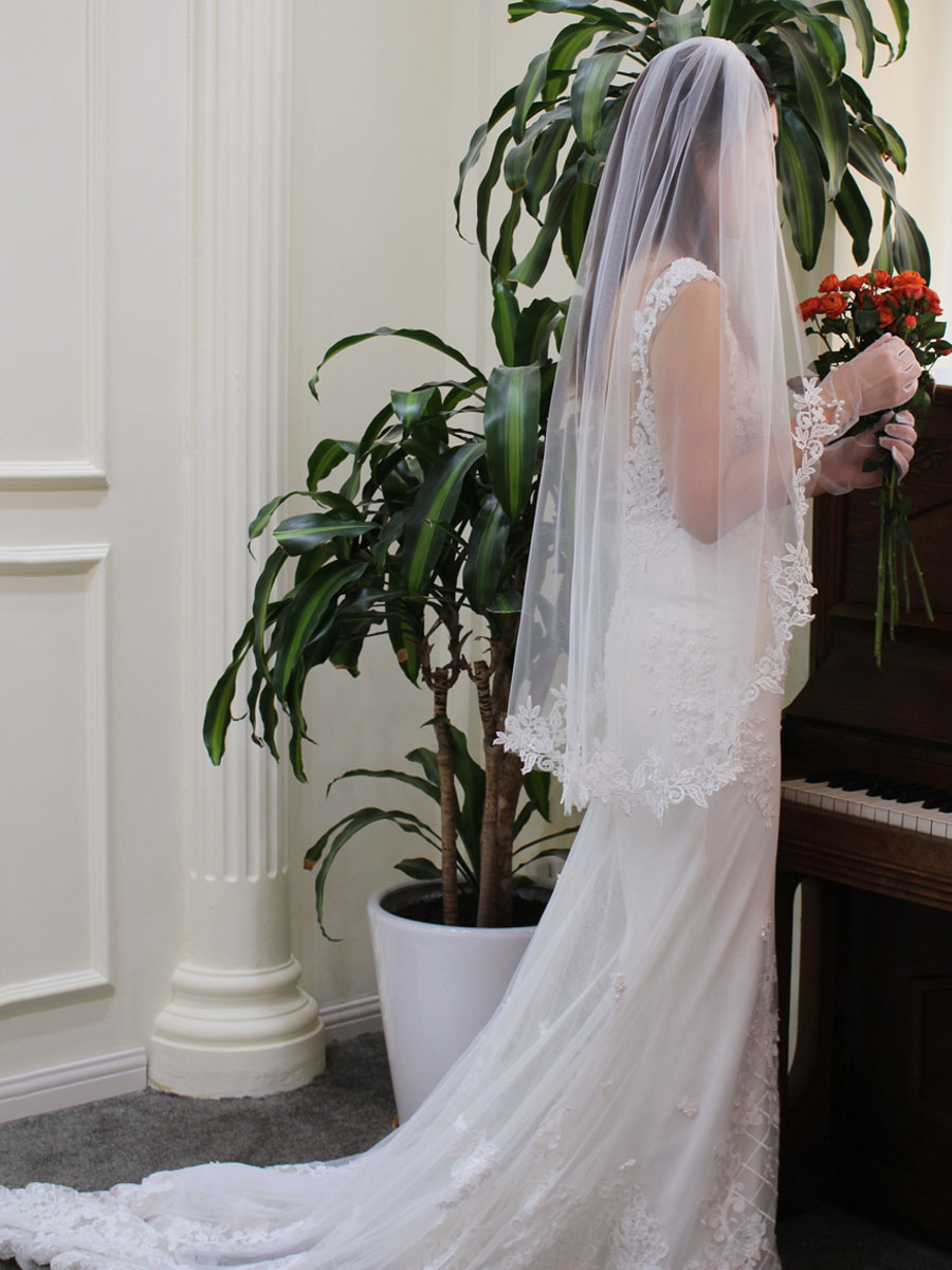 Cheap Elegant Long Wedding Veils Tulle Appliques OV2