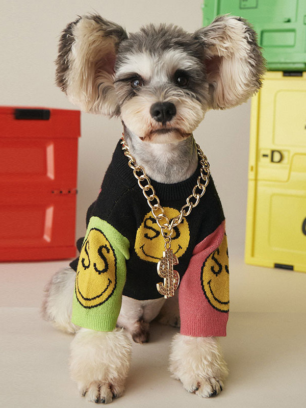 Collier pour chien à chaîne dorée et scintillante collier décoratif style hip-hop pour petits chiens (photos de déguisement)
