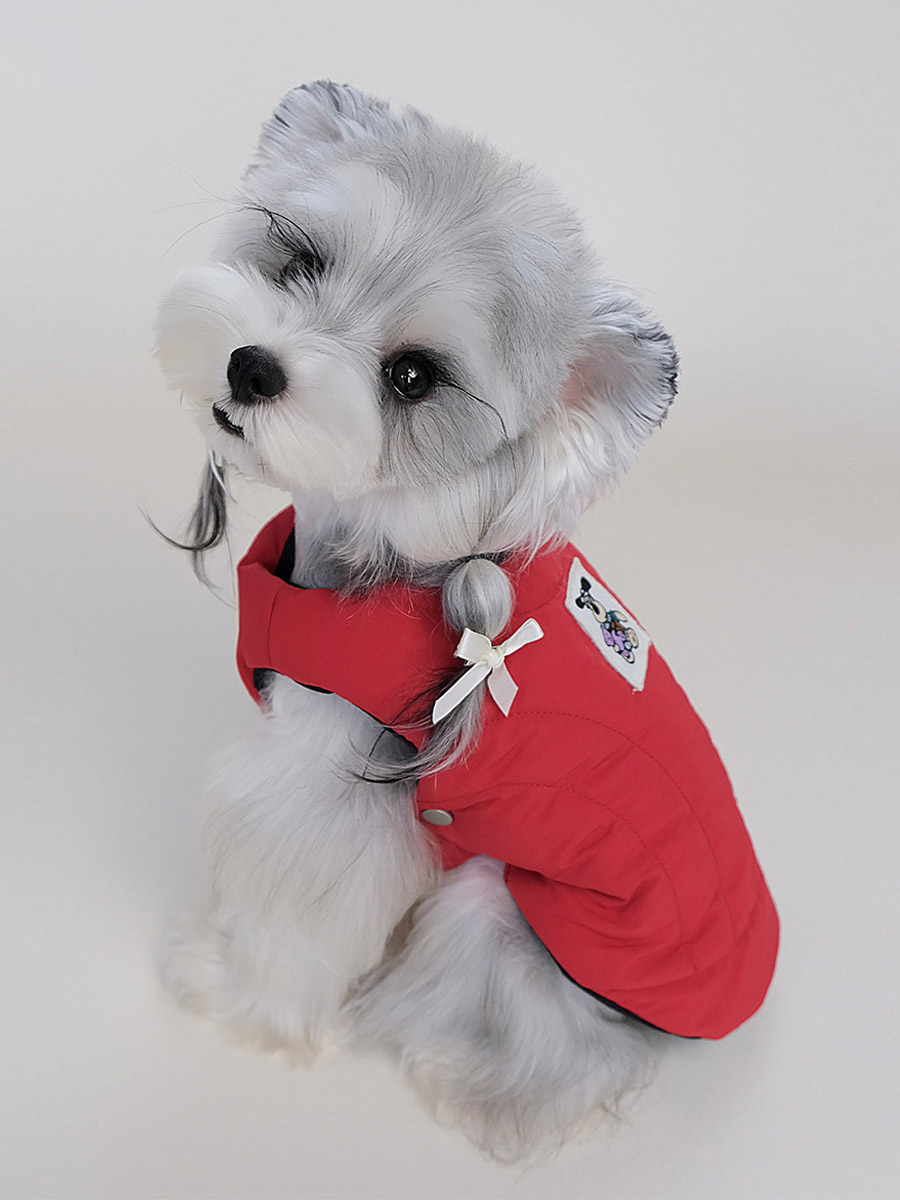 Gilet pour chien à écusson rouge matelassé en coton pour petits chiens idéal pour l'hiver.