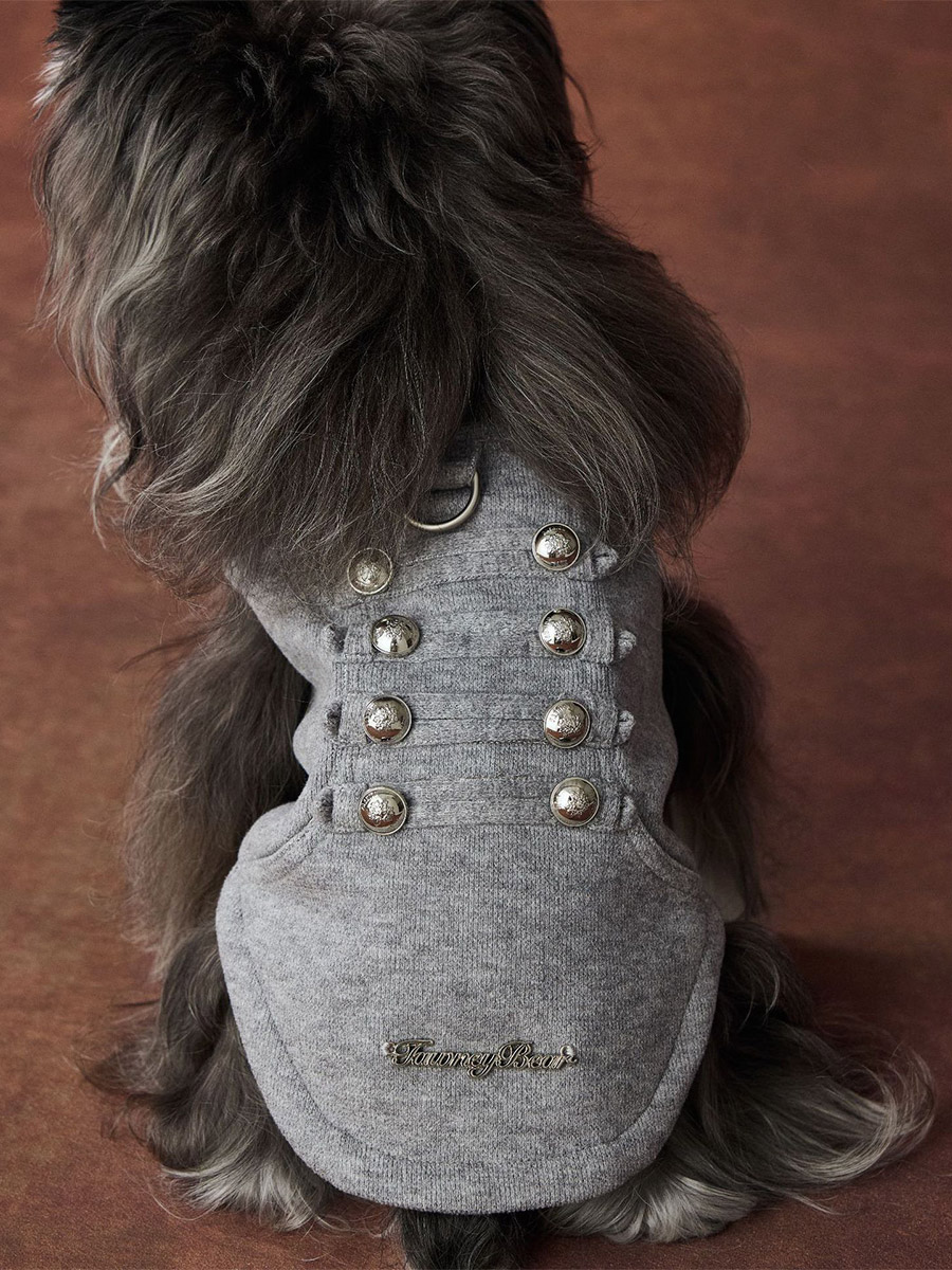 Harnais pour chien à rivets harnais décoratif tendance avec anneau en D pour petites races