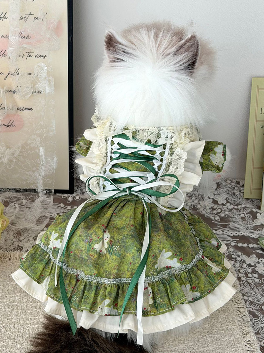 Robe pour animaux de compagnie en dentelle imprimée lapin vert jupe Lolita à volants style corset pour chats et petits chiens