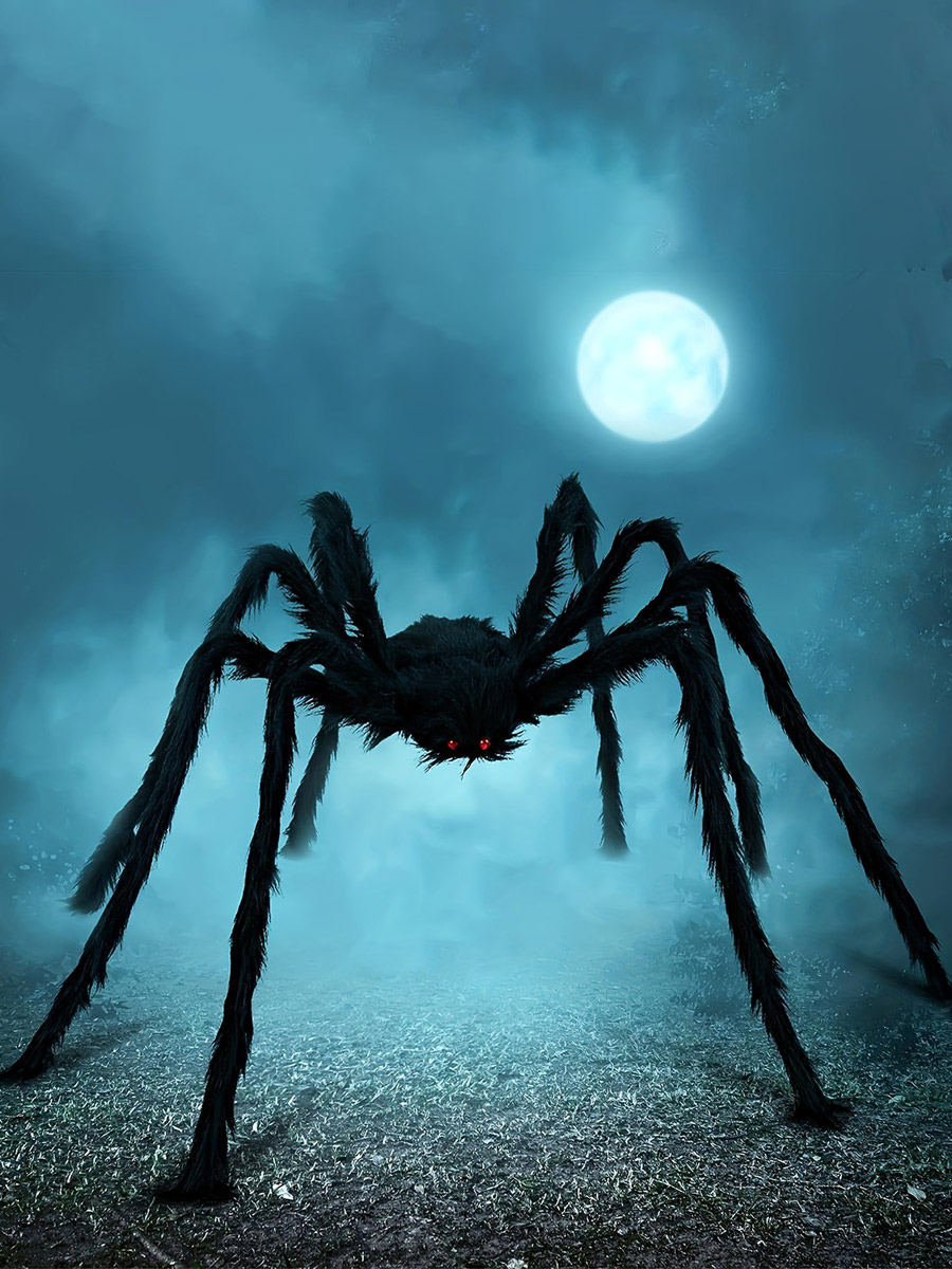 Décoration d'Halloween en forme de toile d'araignée noire peluche décorative à suspendre pour maison hantée