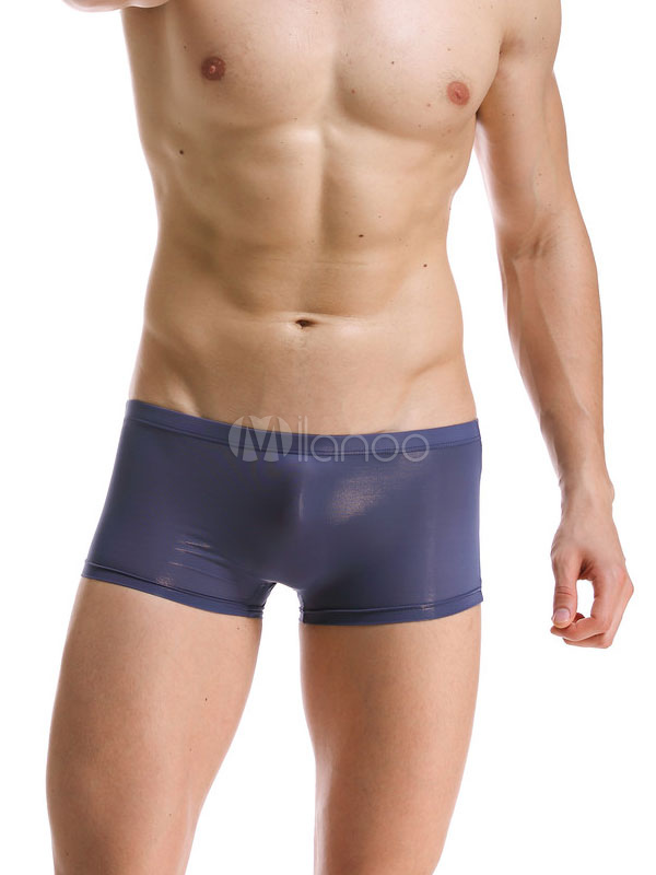 mens semi sheer swimwear