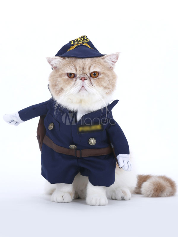 cat cop costume