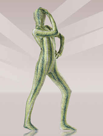 パターニング全身タイツ 全身タイツ　緑　グリーン　ゼンタイ　ライクラ　フルボディ　大人用　ユニセックス　ハロウィン　忘年会　余興