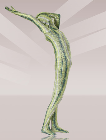 パターニング全身タイツ 全身タイツ　緑　グリーン　ゼンタイ　ライクラ　フルボディ　大人用　ユニセックス　ハロウィン　忘年会　余興