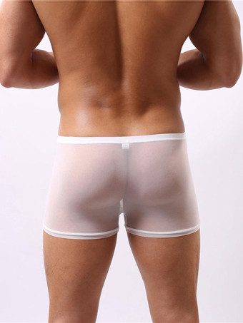 男性下着　チュール　セクシー　インドア　透明な　