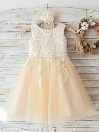 Champagne Robe fille de fleur ivoire en tulle col rond en dentelle boutonné sur dos avec noeud robe cortège enfant