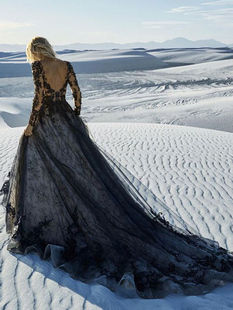 ゴシック ブラック ウェディングドレス レース プリンセス シルエット 長袖 レース コートトレーン ブライダルガウン 自由なカスタマイズ