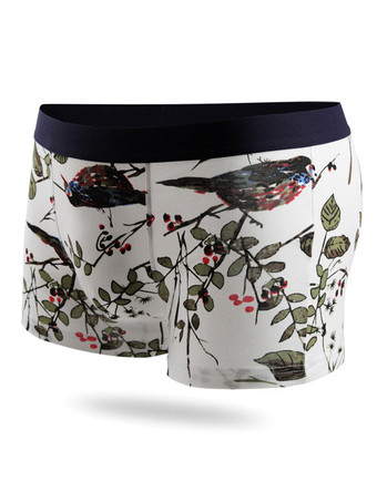 グリーン メンズ ライクラ コットン ボックス ブリーフ ミッドライズ スポーツ プリント 通気性下着 4 枚