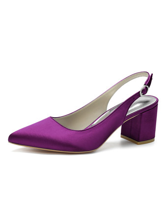 PlumWomen's Block Heel Slingback Pumps Pointy Toe