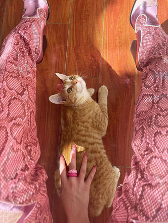 オーバー ザ ニー ブーツ ウエスタン ブーツ ポインテッドトゥ チャンキー ヒール サイハイ ブーツ スネーク パターン レザー 女性