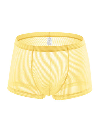 イエローマンズブリーフポリエステルトランスペアレントソリッド