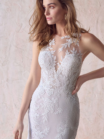 列車の袖なしのレースの宝石の首の花嫁衣装の自由なカスタマイズが付いている結婚式の花嫁衣装