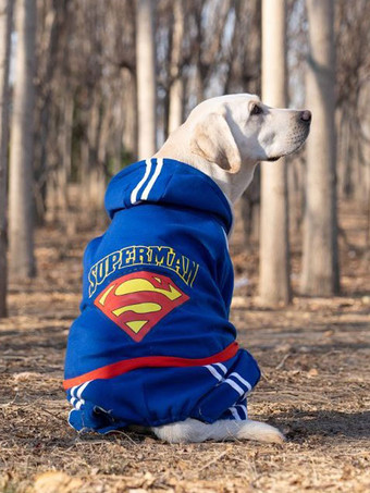 Haustierkostüm Halloween Blaue Kleidung Burlesque Polyester Haustierbedarf