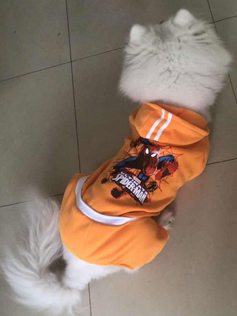 Haustierkostüm Halloween Orange Kleidung Burlesque Polyester Heimtierbedarf
