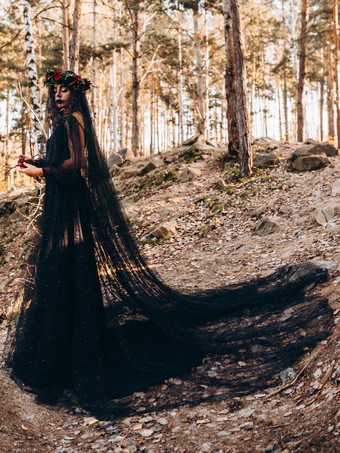 黒ゴシックウェディングドレスレース A ライン長袖トレーンブライダルガウン無料カスタマイズ