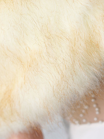 ウェディング ラップ ベージュ トップス フェイクファー ブライダル カバーアップ