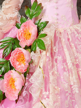 中世 ドレス プラスサイズ 女性用 プリンセス 貴族ドレス ピンク 長袖 ロココ調 祝日 レトロ ヨーロッパ 宮廷風 中世 ドレス・貴族ドレス