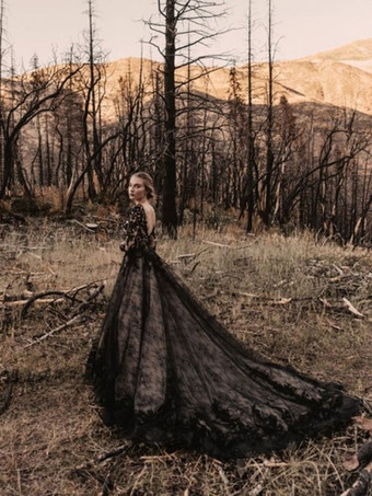 ゴシック ブラック ウェディングドレス レース プリンセス シルエット 長袖 レース コートトレーン ブライダルガウン 自由なカスタマイズ