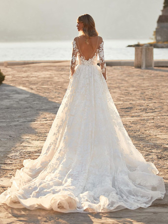 レースのウェディングドレス、トレーン付き、Aライン、ノースリーブ、レース、Vネック、ブライダルガウン