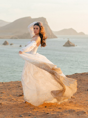 ブラック ロイヤル ウェディングドレス プリンセスシルエット ハーフスリーブ ボタン レース トレーン付き ブライダルガウン