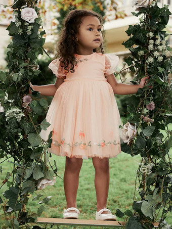 ウェディング フラワーガールドレス 特別な日のドレス ソフトピンク 半袖 刺繍入り