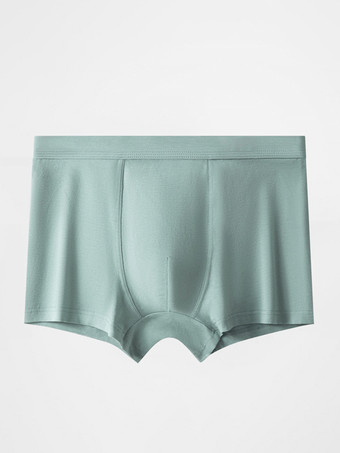 セージグリーンメンズブリーフ グレー コットン 下着