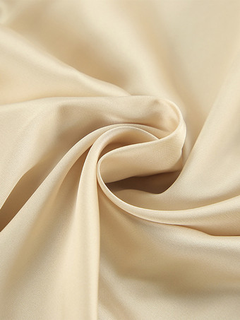 シャンパン サテン ブラウス チョーカー ターンダウンカラー 春 カジュアル 長袖 トップス レディース 2025