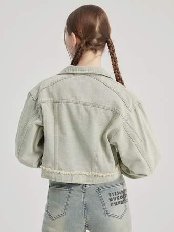 Vintage Denim Kurze Jacke Turndown Kragen Frühling Oberbekleidung Für Frauen 2025