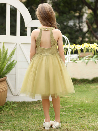 女の子のパーティードレス、フラワーガールドレス、ウェディング、キッズ社交パーティードレス、ウェディングフラワーガールドレス、フラワーガールドレス、ノースリーブの花