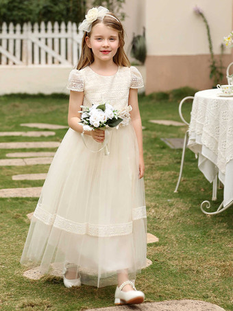 Flower Girl Dresses Wedding Wedding Flower Girl Dress Flower Girl Dresses Dinner Dresses Short Sleeves Flowers Sash