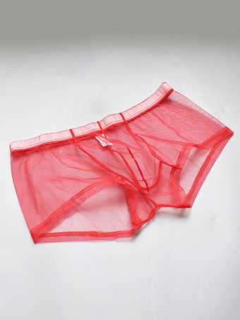 レッド下着 ランジェリー メンズ ランジェリー 男性用 セクシー パンティー 透明 トゥルーレッド ランジェリー