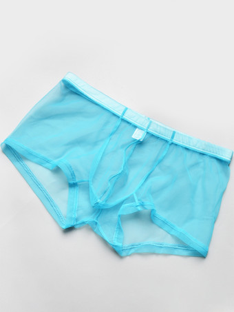 アクアグリーン下着 ランジェリー メンズ ランジェリー 男性用 セクシー パンティー 透明 トゥルーレッド ランジェリー