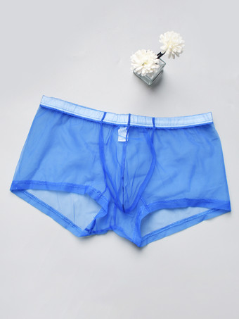 ブルー 下着 ランジェリー メンズ ランジェリー 男性用 セクシー パンティー 透明 トゥルーレッド ランジェリー