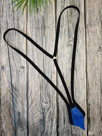 ロイヤルブルーメンズランジェリー 下着 ランジェリー パンティー Tバック