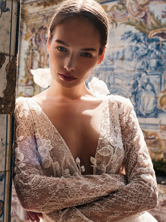 レースのウェディングドレス Vネック 長袖 トレーン付き チュール ブライダルガウン