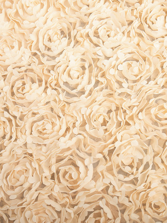 3Dローズフラワーディテールロングスカート（レディース）2025